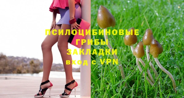 дмт Бронницы