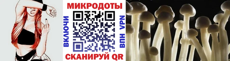 Псилоцибиновые грибы Magic Shrooms  купить закладку  Бийск 